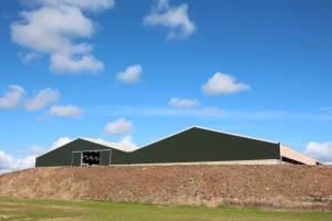 New Twin-span cow shed